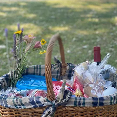 Casa Do Ti Latoeiro Otel Torre De Moncorvo