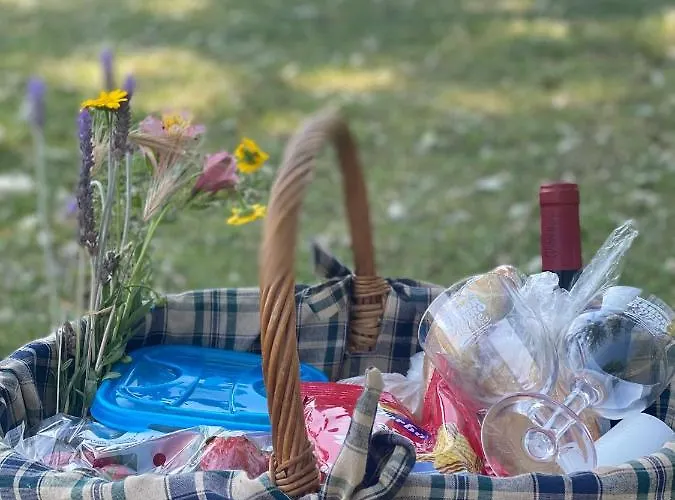 Casa Do Ti Latoeiro Ξενοδοχείο Torre De Moncorvo